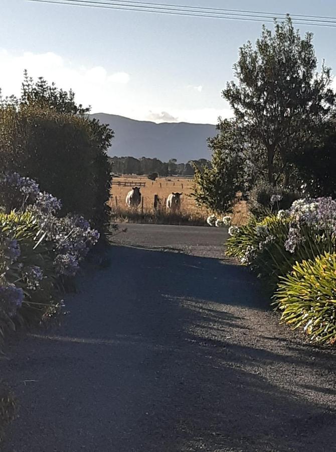 15 On Wards Bed and Breakfast Greytown Eksteriør billede